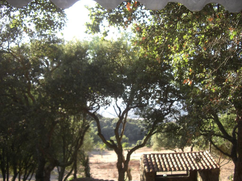 Hébergement de vacances Maisonnette Du Berger De Croccano